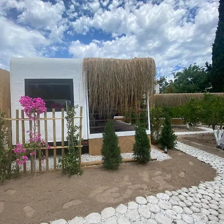 Pod5 Apartament