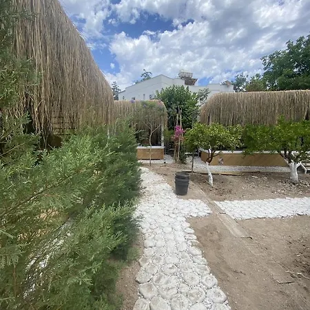 Pod5 Bodrum